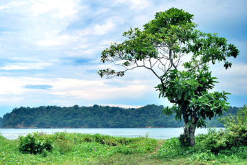At Tamban East Java beach side