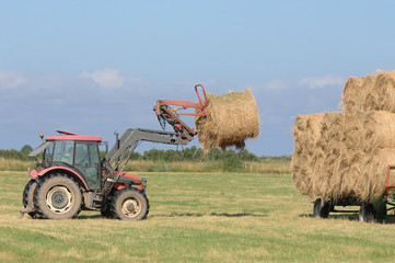 chargement du foin