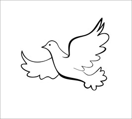 Dove