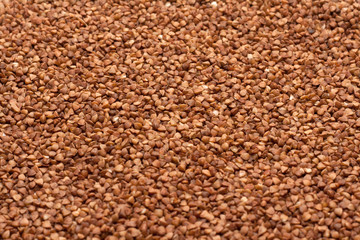 Buckwheat, background