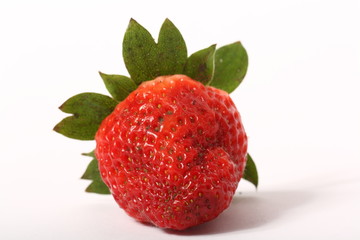Erdbeere