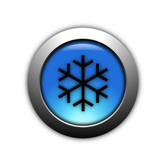 aqua blue snow button with metalic ring