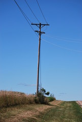 Power Pole In The Country