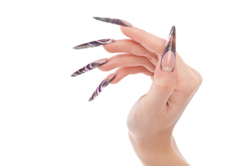 Human hand with the beautiful fingernail