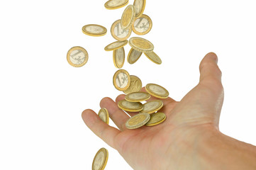 Hand 23