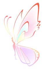 Fototapeta premium Beautiful butterfly
