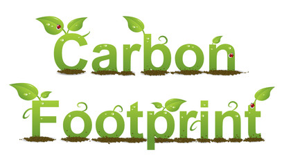 Carbon Footprint