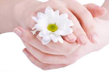 Beautiful female hands..