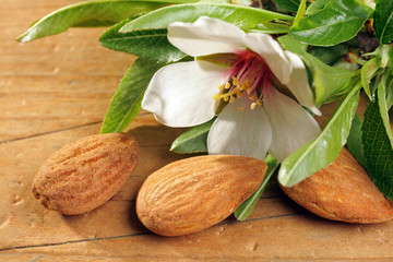 amandes