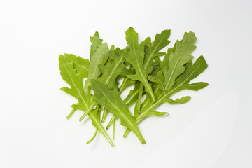 Rauke