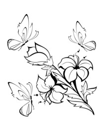 Silhouettes of beautiful butterflies on colours for design