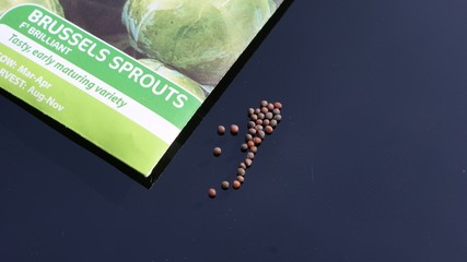 Sprout seeds