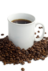 Obraz premium Fresh Coffee