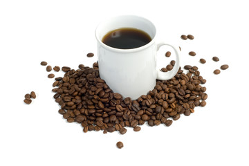 Coffee Beans