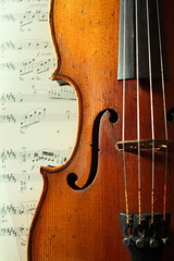 Naklejka premium część antycznych skrzypiec