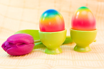 colorful easter eggs and purple tulip on the table