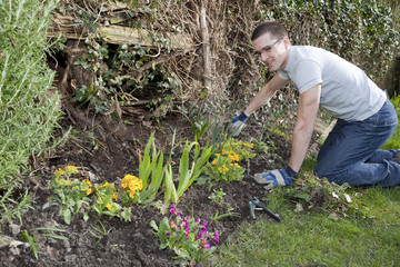 Naklejka premium Young Man Gardening 1