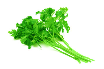 Bunch of parsley.