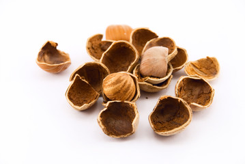hazelnut in shell