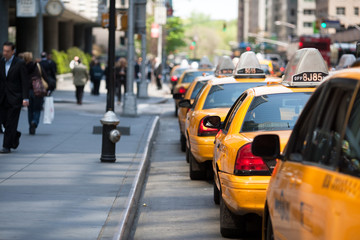 Taxischlange New York