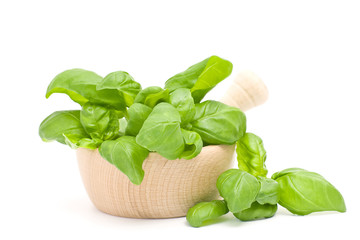 fresh basil