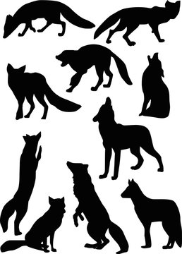 fox and wolf silhouettes