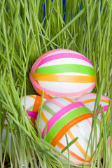 Easter eggs on a green grass
