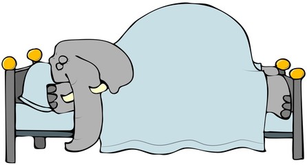 Sleeping Elephant