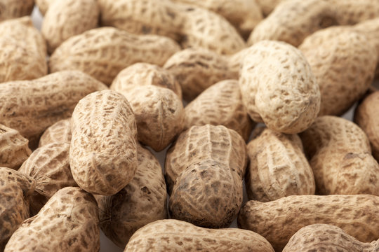 Peanuts