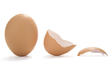 Egg and eggshells on white background