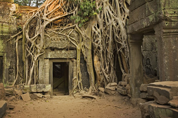Angkor Wat - obrazy, fototapety, plakaty