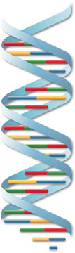 DNA