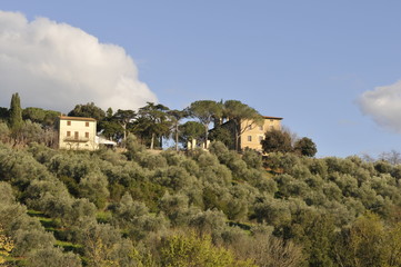 Fototapeta na wymiar Urlaub in der Toscana zwischen schöne Landschaft und herrlichen Feldern mit Blüten und vielen mehr