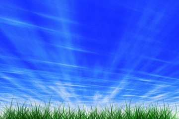 Fototapeta premium grass and sky