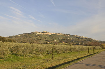 Toscana, Urlaub in Italien zwischen Olivenbäume und schönen Landschaften