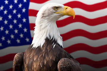 Wappentier der Vereinigten Staaten von Amerika