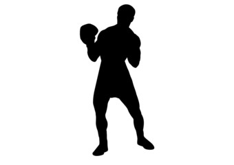 Boxer
