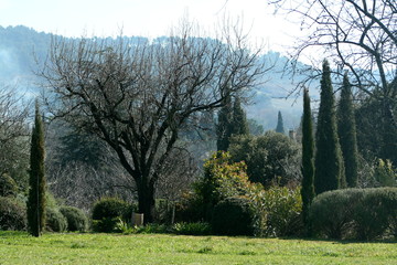 Obraz premium Jardin du Lubéron