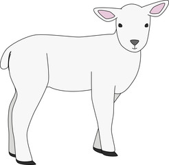 Lamb