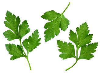 Parsley leaf © Leonid Nyshko