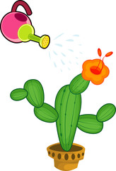 watering cactus