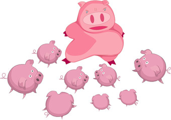 Pig family