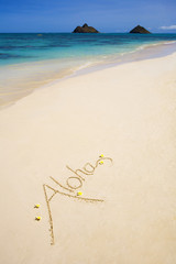 The word "aloha" is written on a sandy beach © tomas del amo