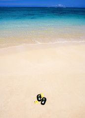 a pair of sandals and a plumeria blossom on a Hawaii beach
