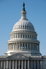 Fototapeta premium US Capitol Building