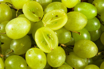 grape