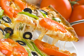 homemade pizza with fresh tomato olive mushroom cheese