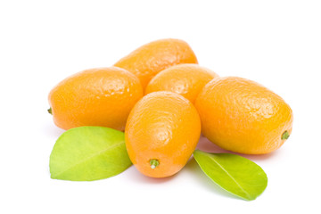 kumquats