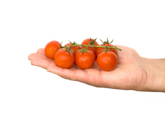 Hand with cherry tomatoes isolated on white background
