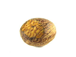 Nutmeg